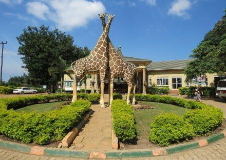 Adventure Travels Kenya 3 Days Uganda Birding Tour Package
