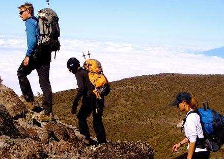 Adventure Travels Kenya, Luxury Tours  8 Days Mt Kilimanjaro climb Machame Route